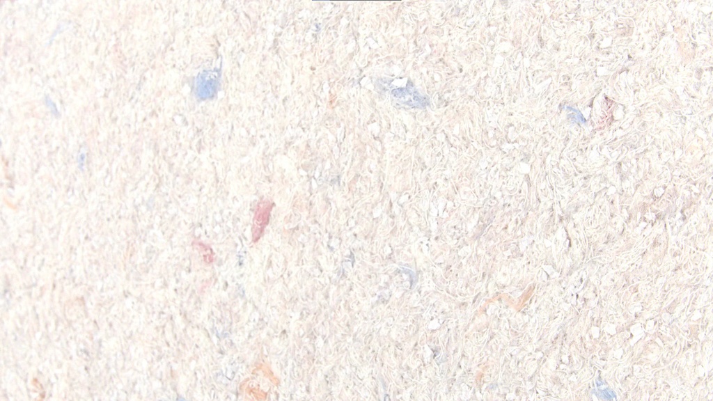 Musterkarte Dekor 43-2