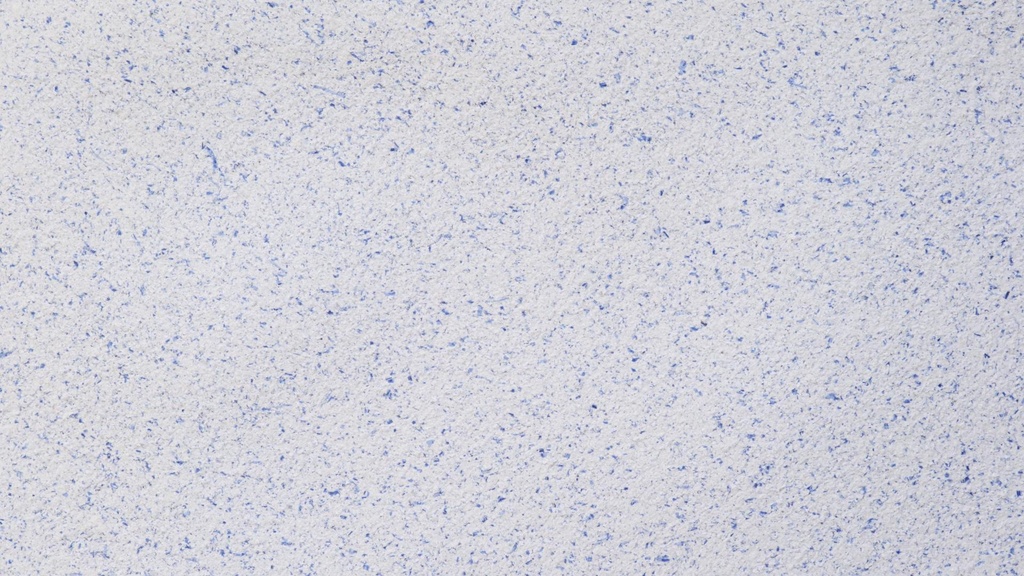 Musterkarte Dekor 23-10