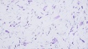 Musterkarte Dekor 9-5