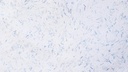 Musterkarte Dekor 9-3