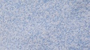 Musterkarte Dekor 8-8