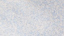 Musterkarte Dekor 37-1